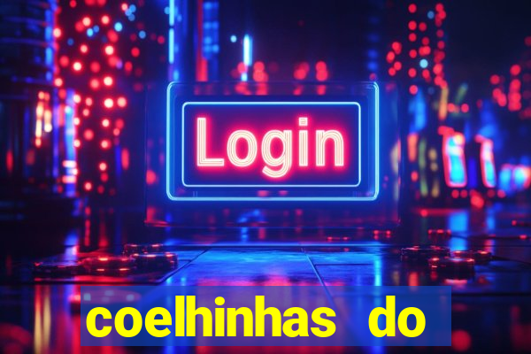 coelhinhas do brasil acompanhantes